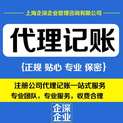 专业嘉定区财务代理与商务代理代办服务助力企业发展