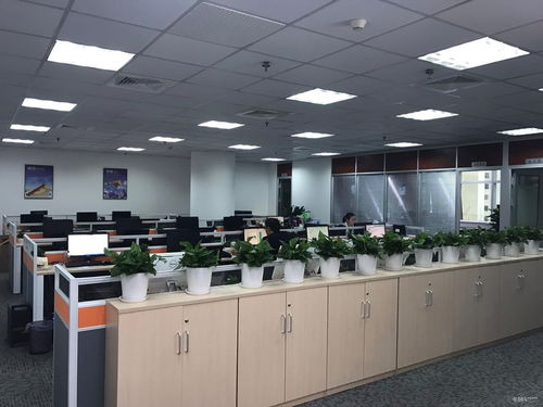 在高速发展中成就卓越 商务代理代办服务行业的职场新机遇